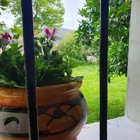 Holiday home Casa Candidita - Tradicional Casa Montanesa Vargas